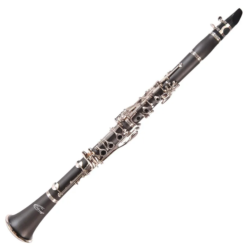 Begränsat erbjudande Odyssey Wind Instruments OCL120 Debut Bb Clarinet with Case